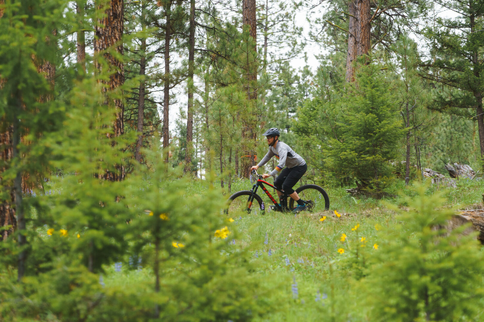 Man mountain biking through a green forest.