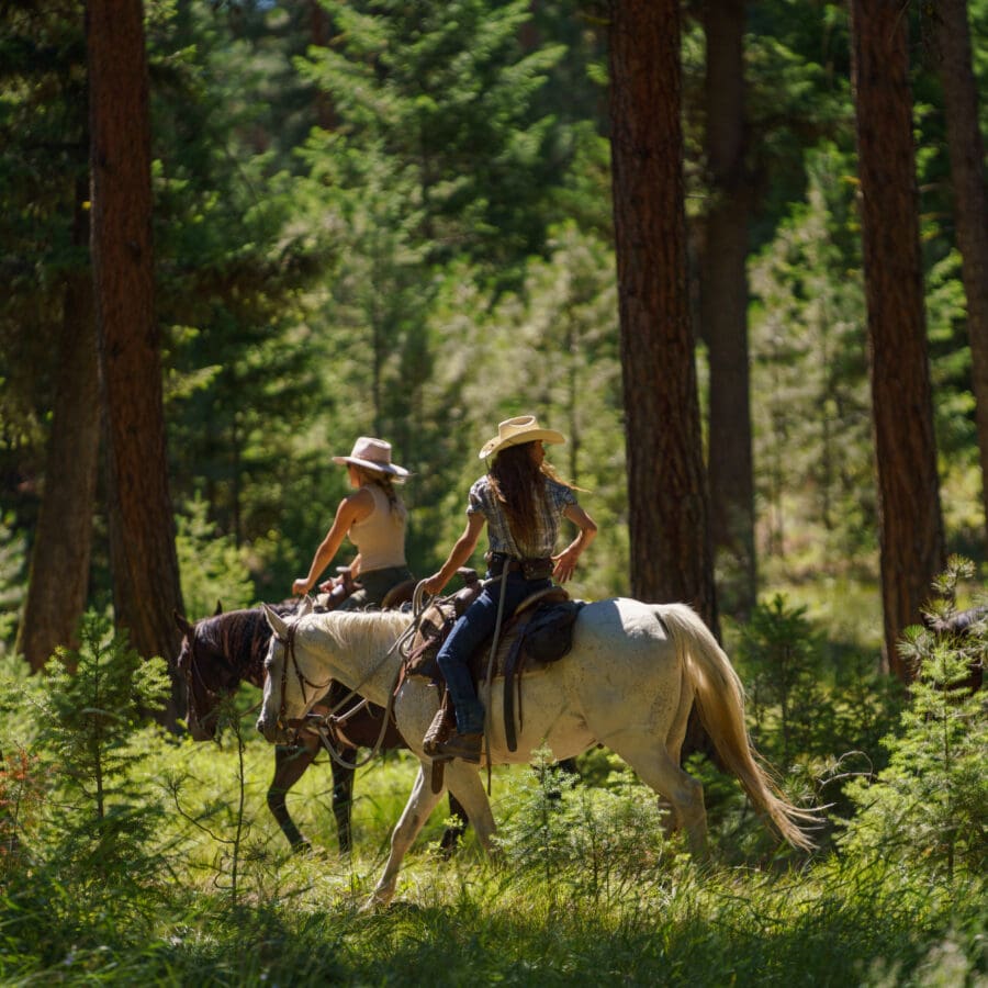 Woman riding on a trial in a wooded area.