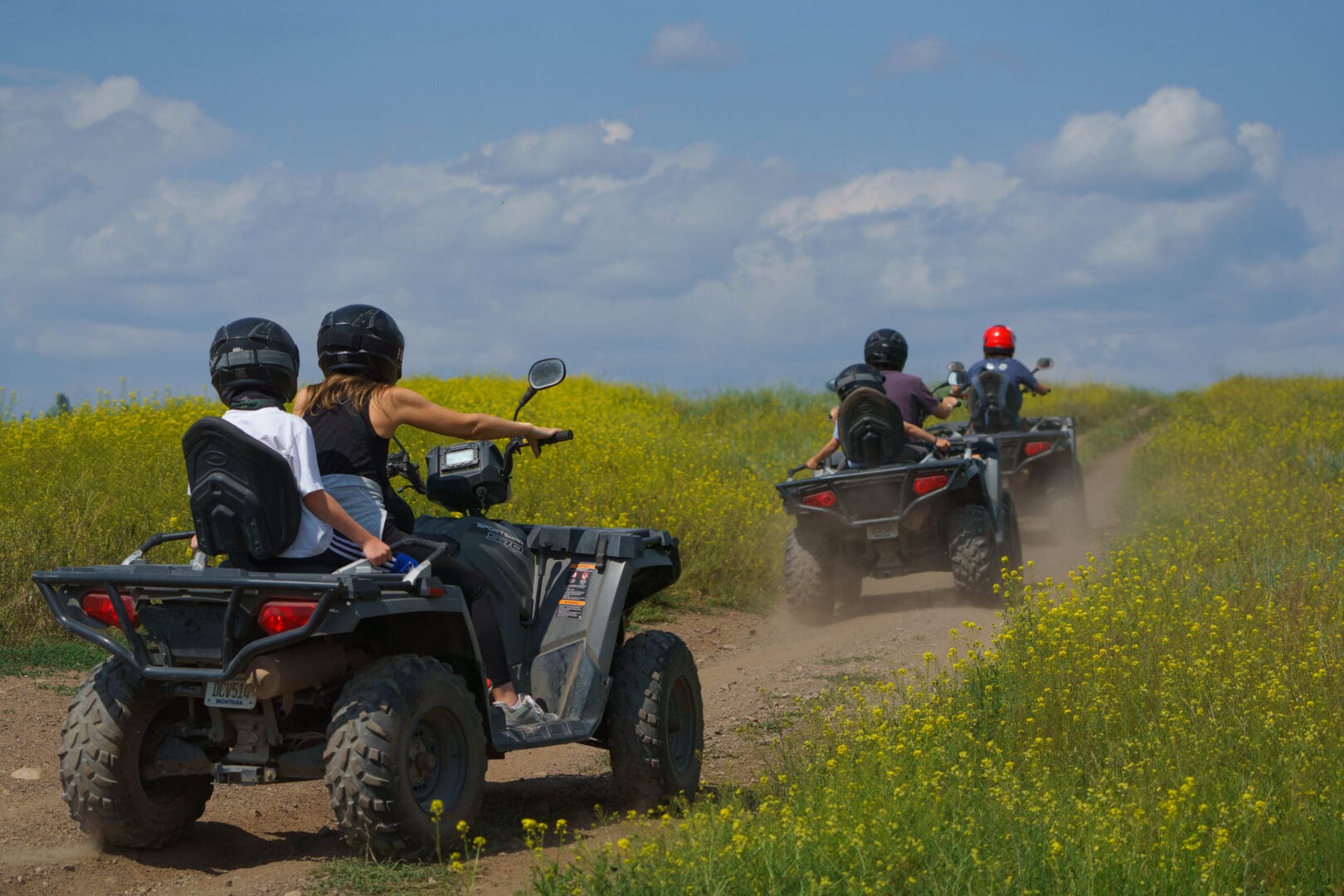 Group of people on ATVs outside, driving through a field of yellow flowers.