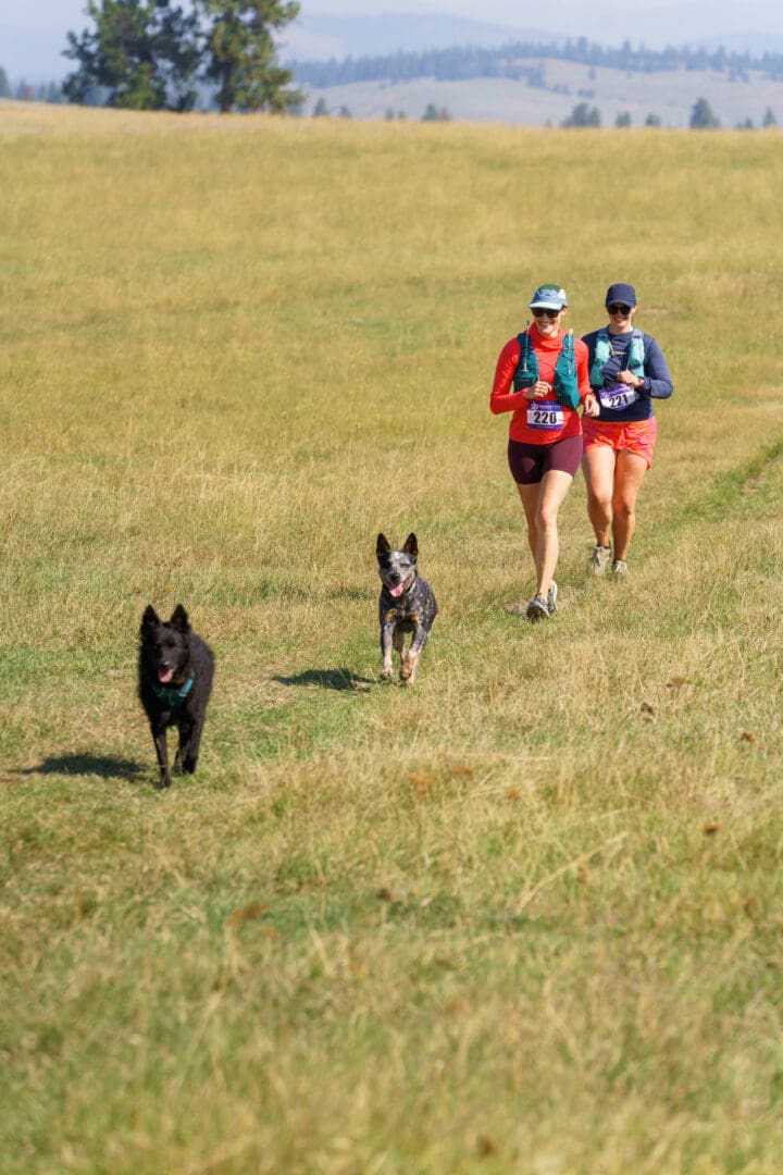 Trail runners on a grassy trail with their two dogs ahead of them.