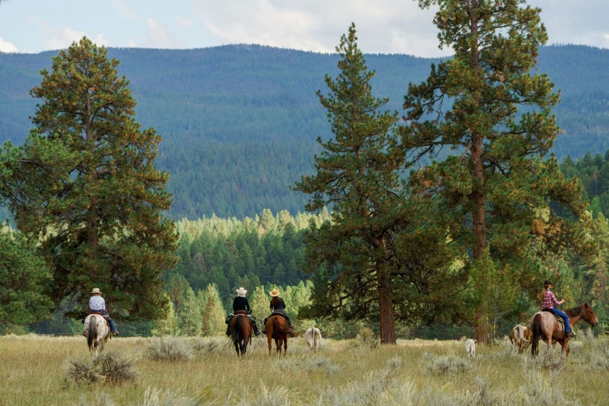 A group of people riding on horseback through a mountain area.