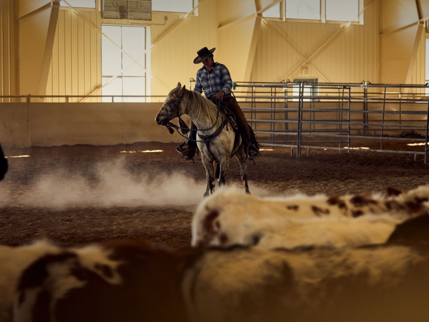 Cowgirl on horseback in an equestrian center dirt arena