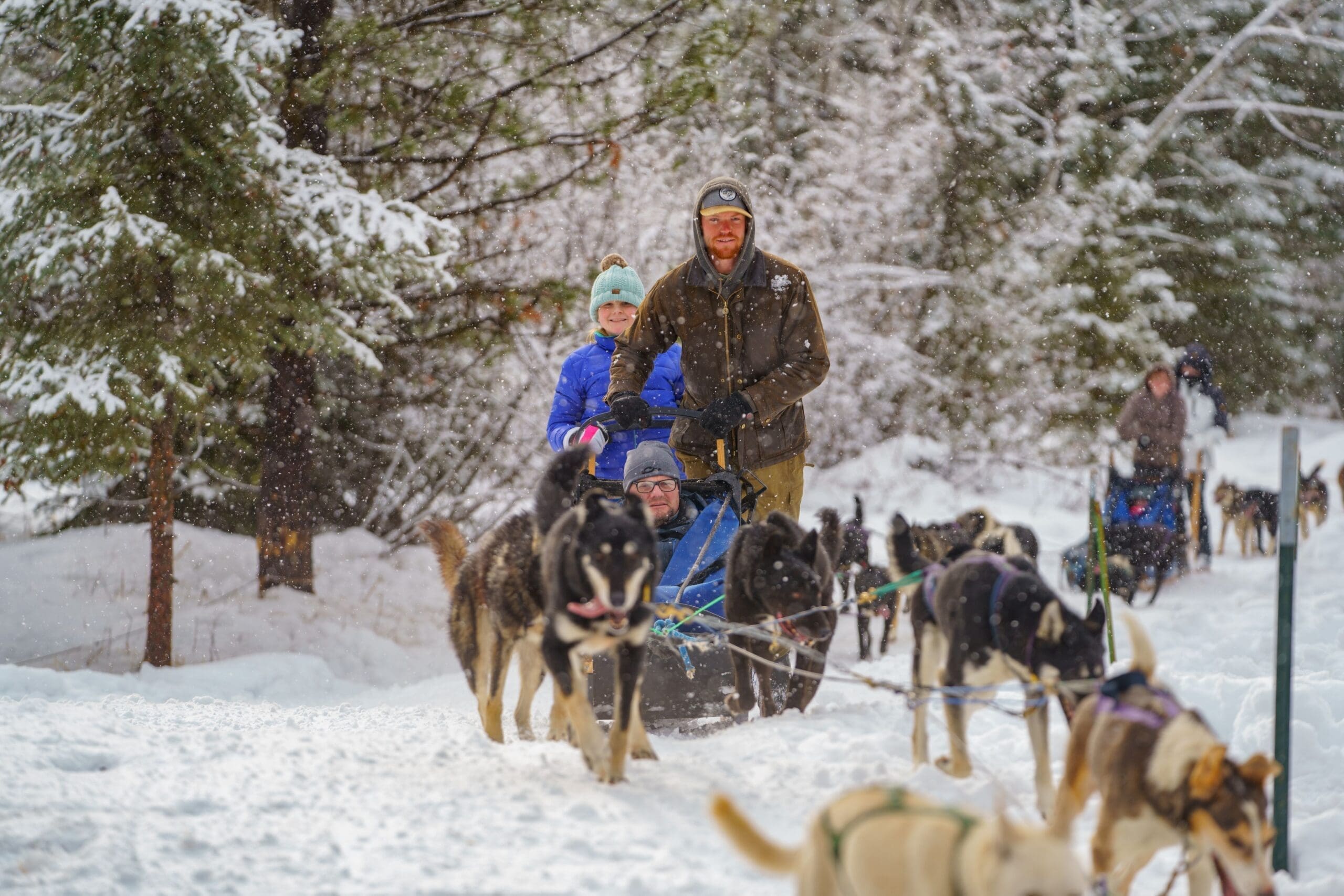 Group dogsledding through the snowy forest
