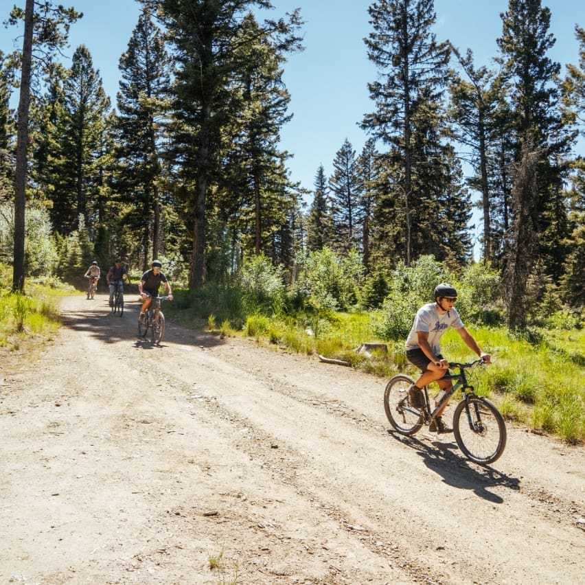 Group of mountain bikers traveling down a dusty forest trail
