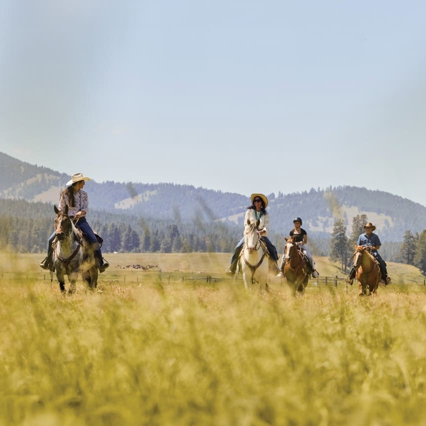 A group of cowgirls on horseback in a mountain field
