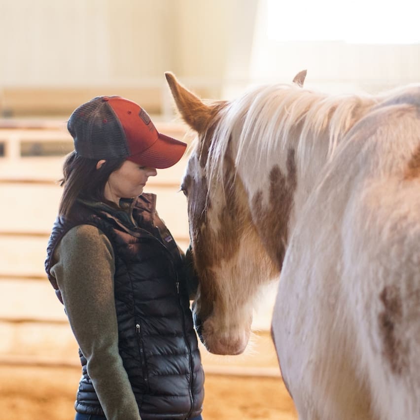 Woman petting a white and brown horse in an area