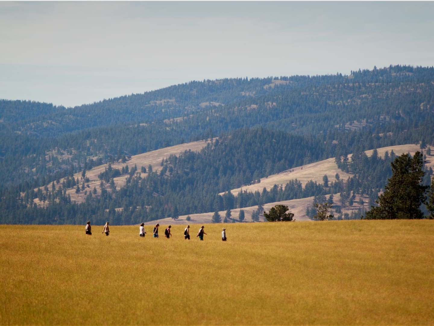 Group hiking through a mountain filed to search for geocache treasures