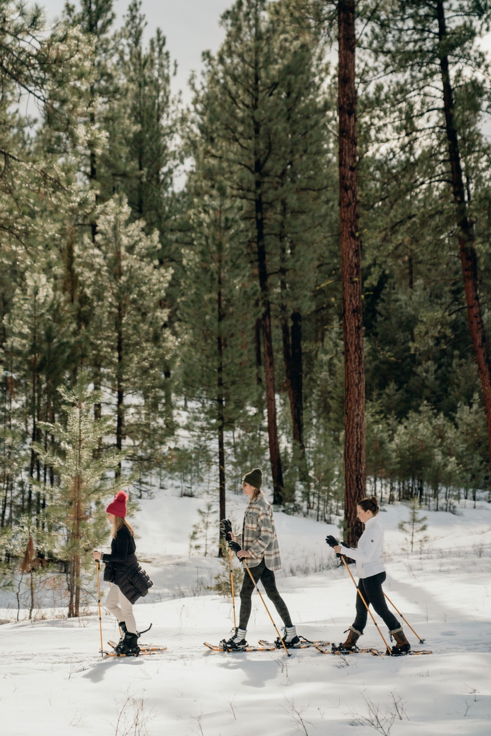 Three girls snowshoeing in the woods