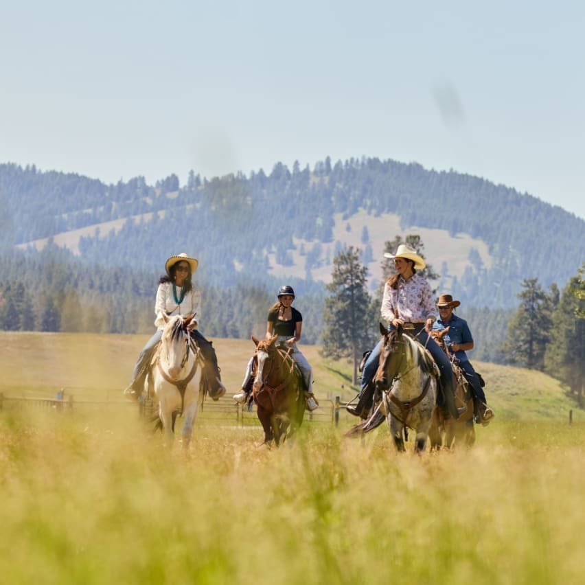 Three cowgirls taking on a mountain valley on horseback