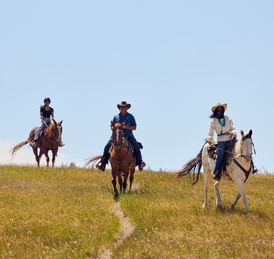 Three people riding horses in a green valley with a blue sky