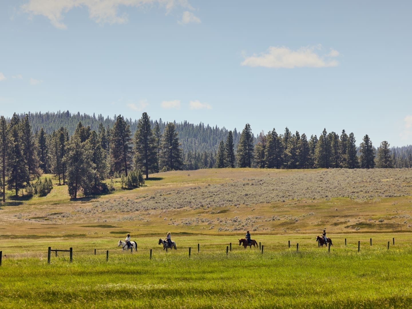 4 people riding horses in a green, mountain field | Paws Up | Horseback riding in montana