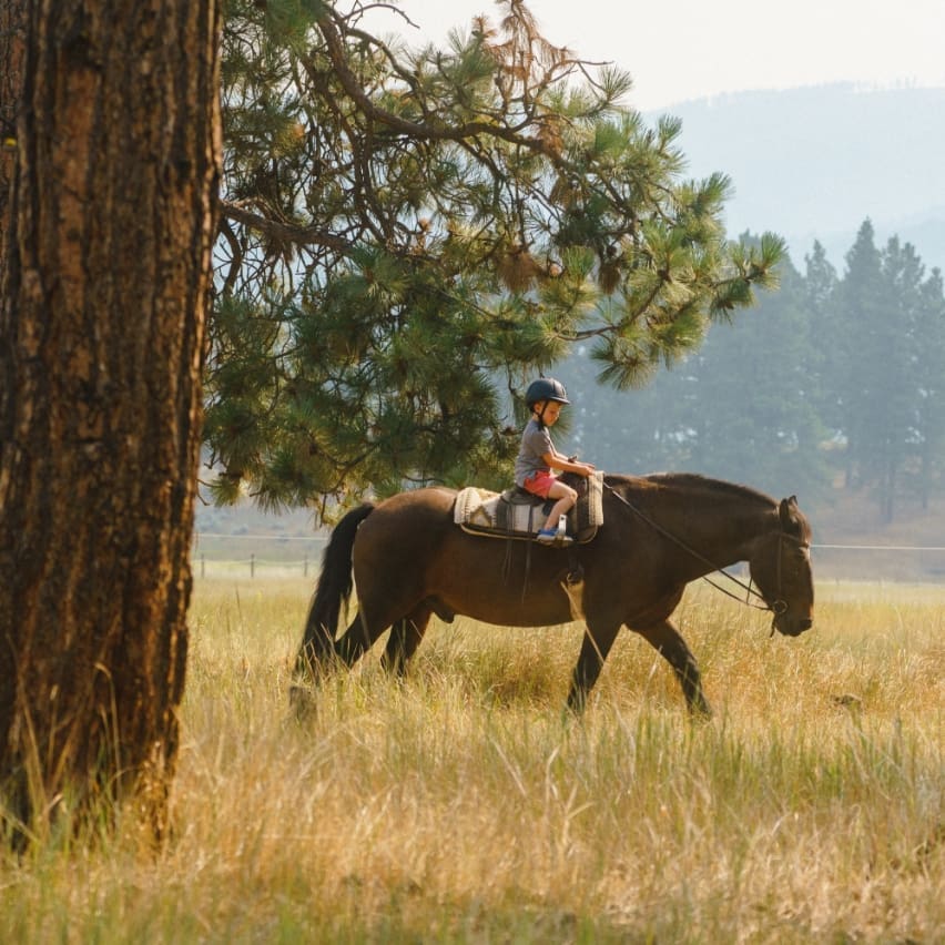 Little boy riding a brown horse in a mountain forest landscape
