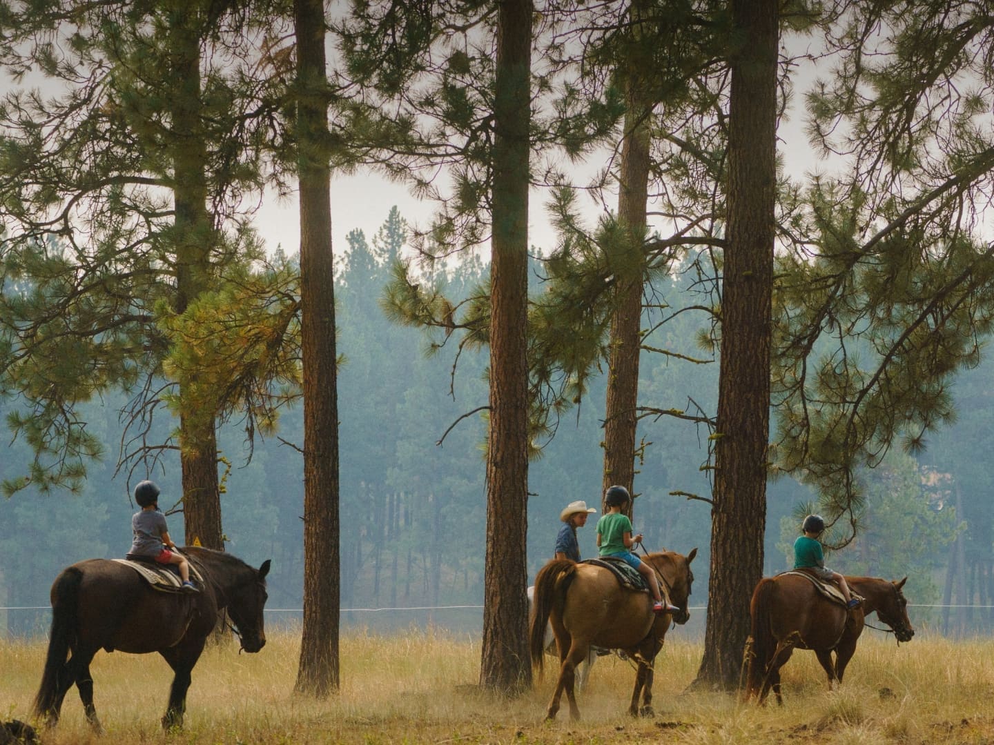 Children learning to ride on horseback in the mountain forest