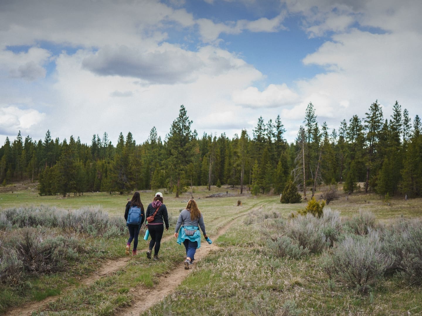 Three hikers walking on a dirt path towards the forest