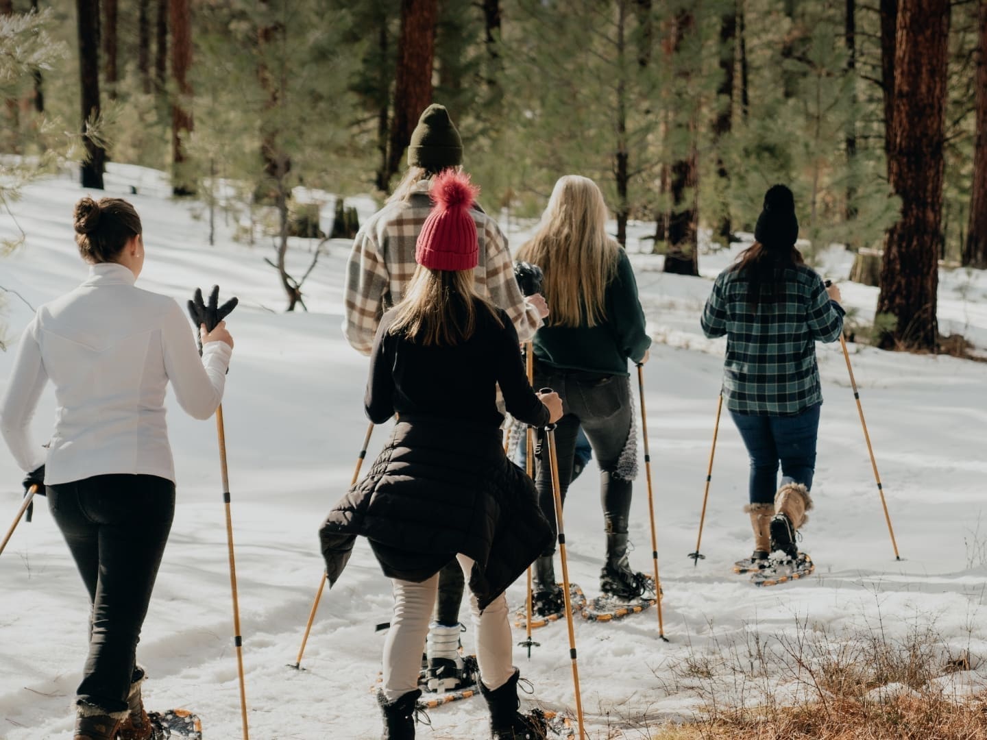 Group of people snowshoeing through a winter forest