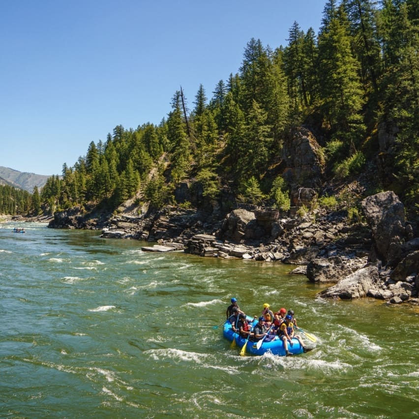Group whitewater rafting on a mountain river in the summer