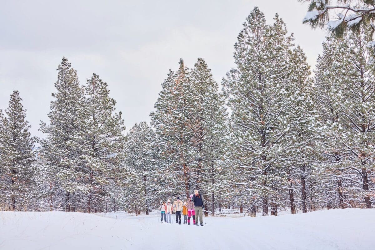 Family cross-country skiing through a snowy forest