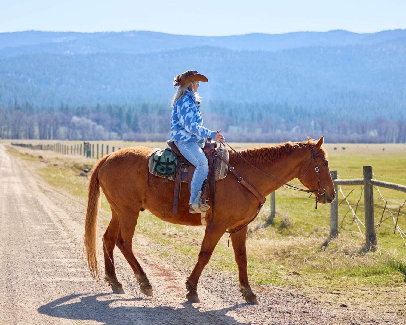 Cowgirl riding a brown horse in the mountains