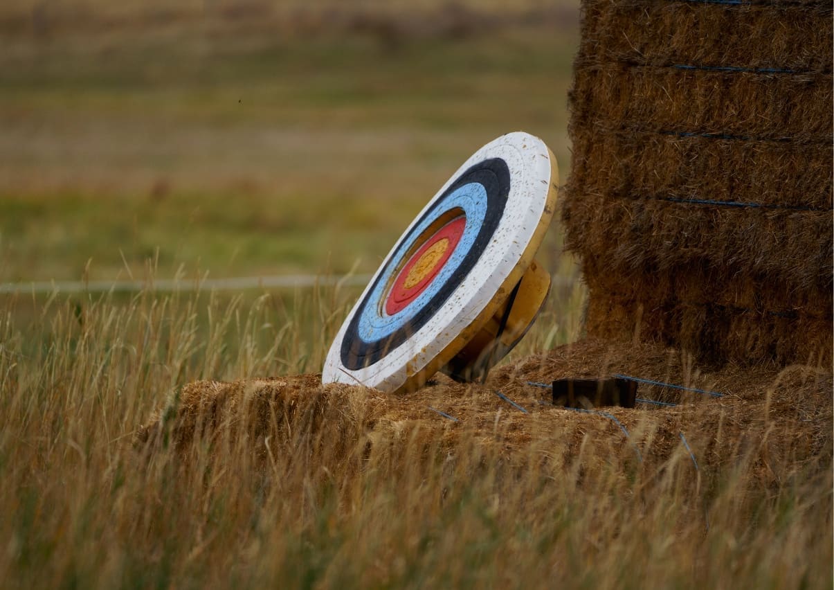 painted bullseye target leaning against a tree for archery