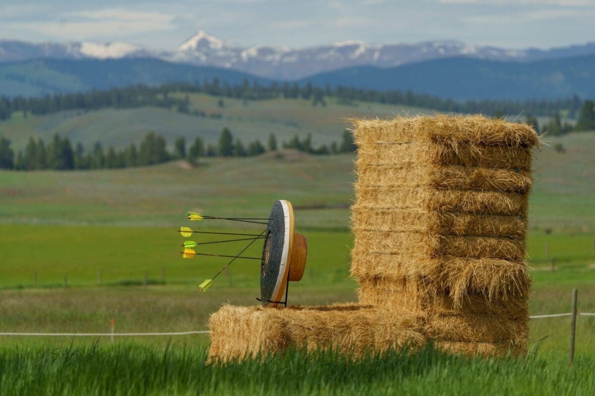 Archery target with arrows