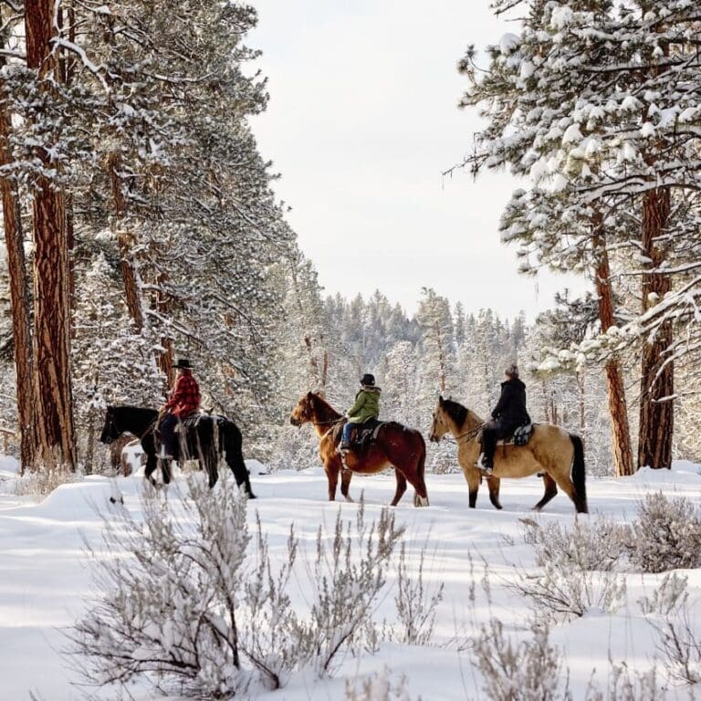 Paws Up Ranch Luxury Ranch Experience Montana | Paws Up Resort