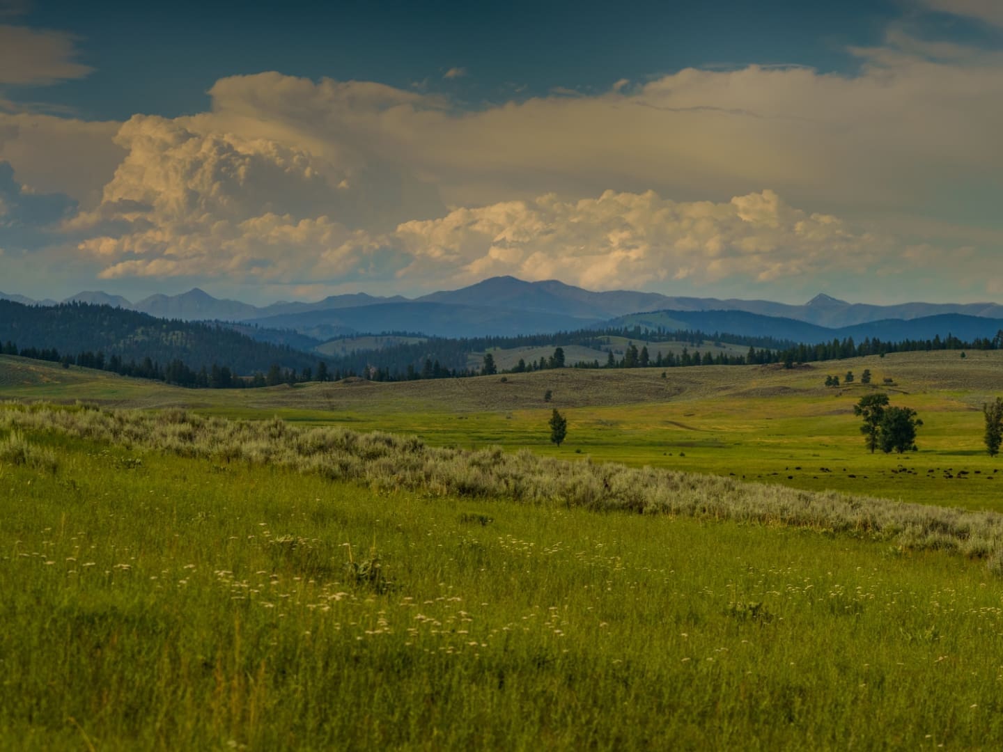 Green mountain valley in Montana