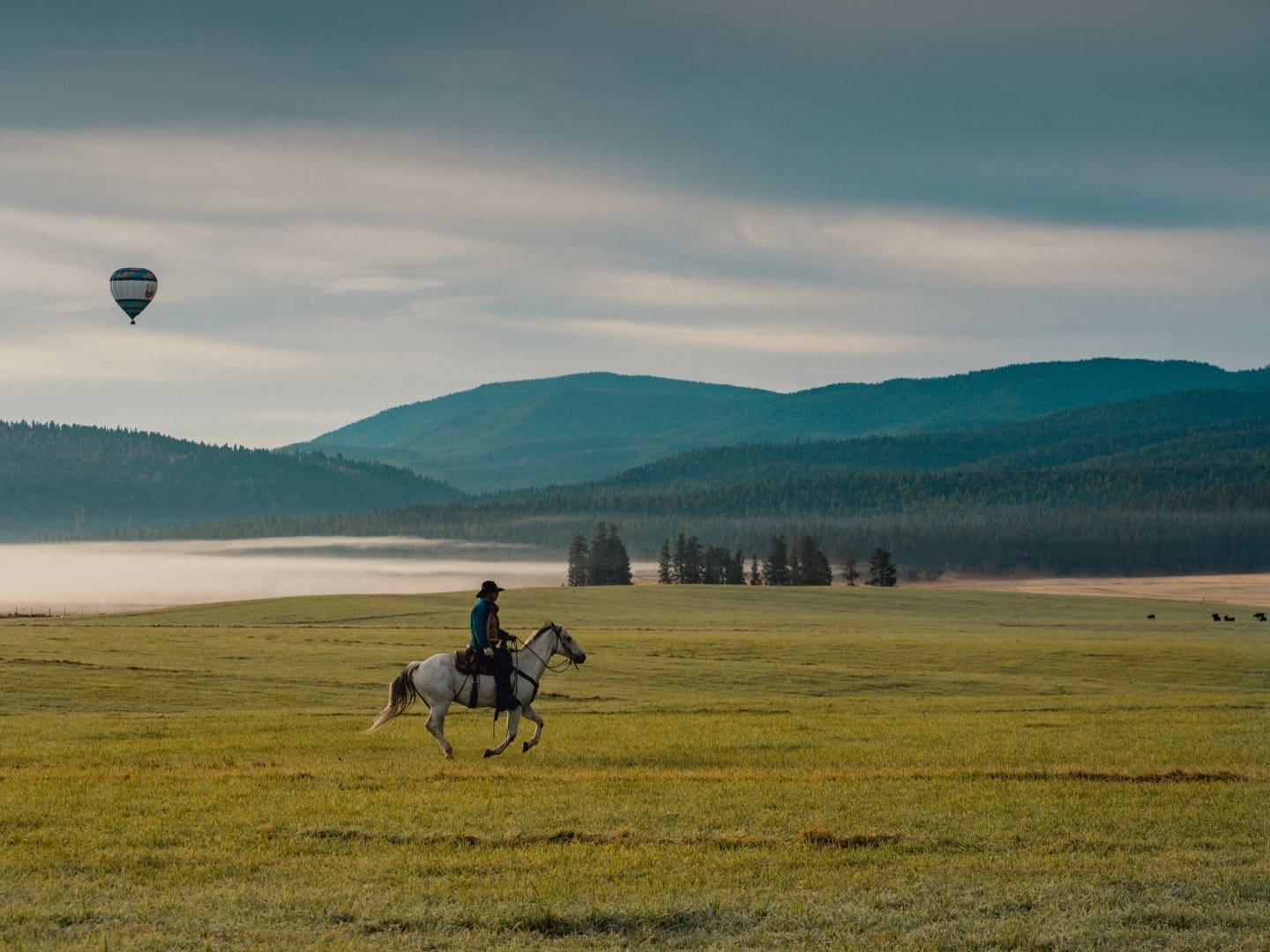 Cowboy riding white horse through a mountainous field, with a hot air balloon in the sky