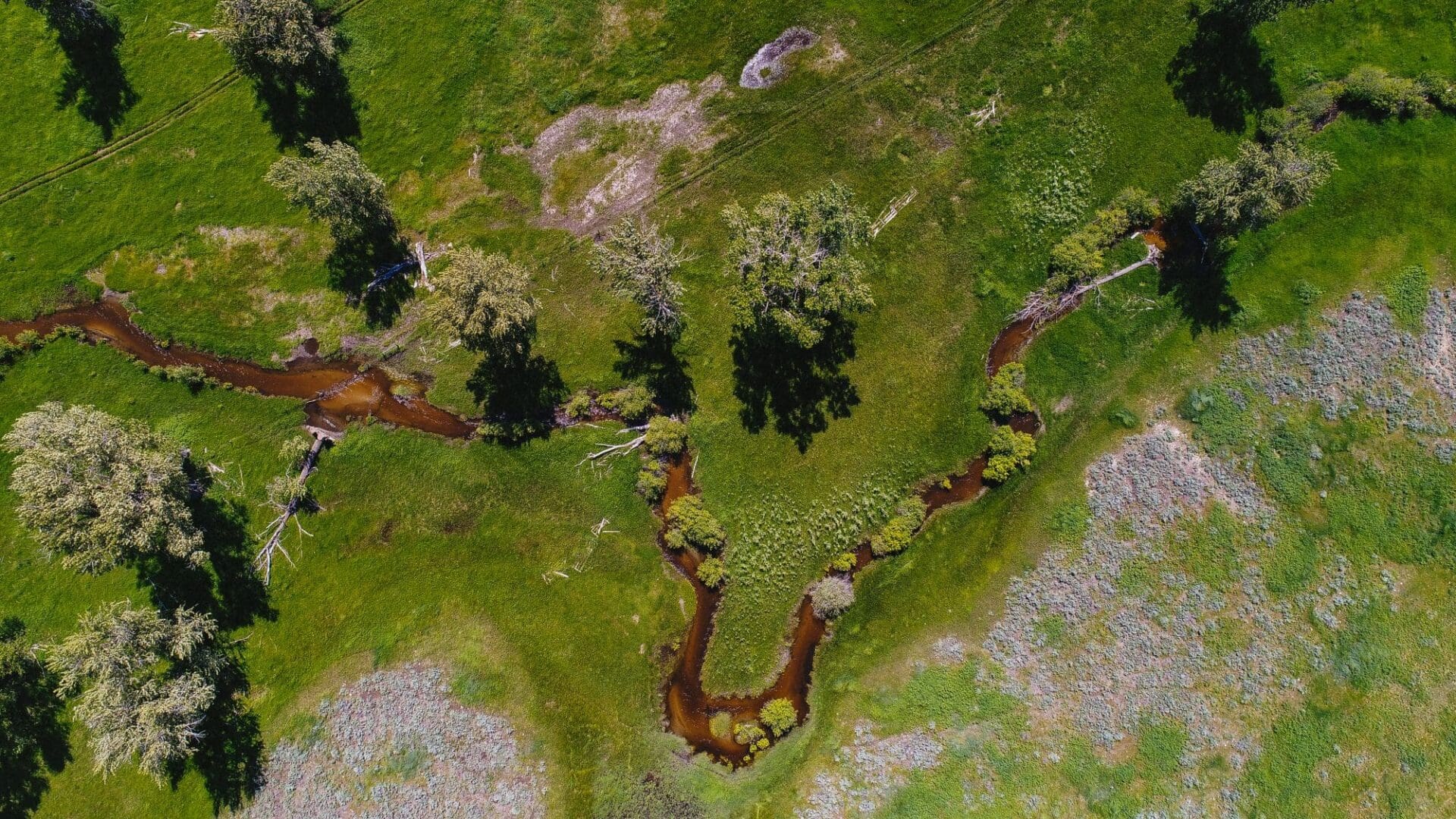 Aerial view of a creek flowing through a green mountain valley at Paws Up