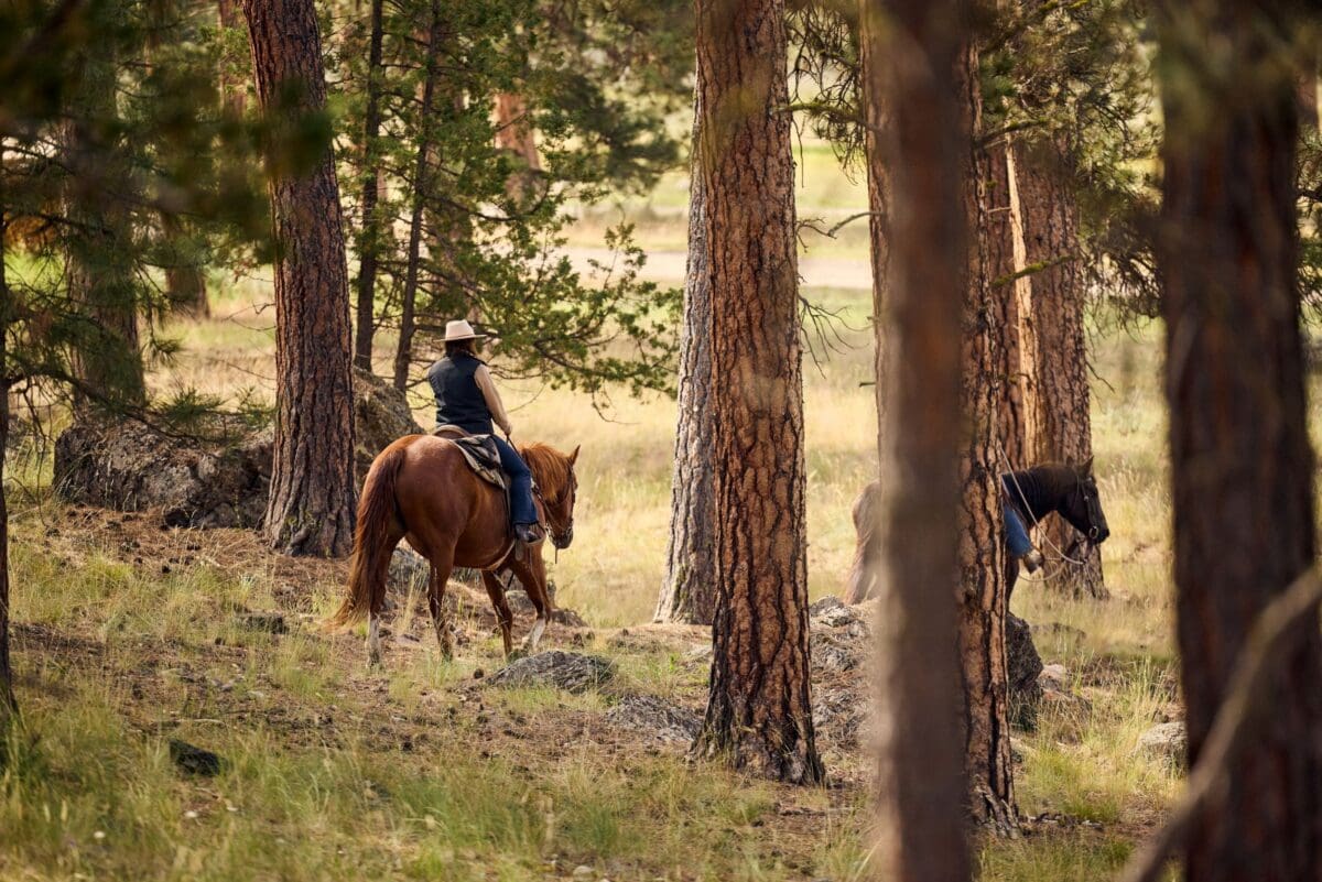 Cowboy riding a horse through the forest