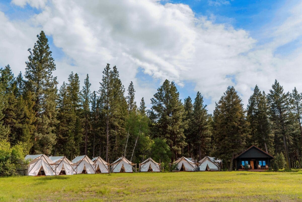 Outside view of Spa Town, a series of white canvas tents in a forest field