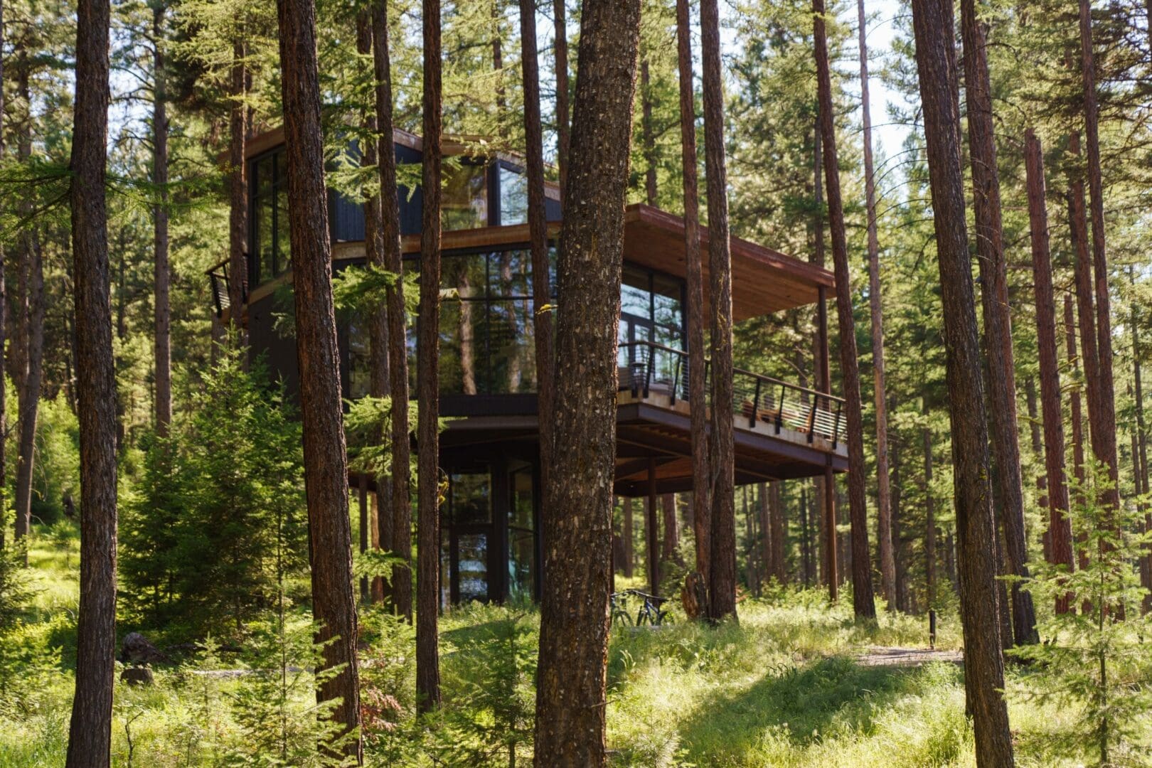 Modern tree haus in Green O in the summer forest