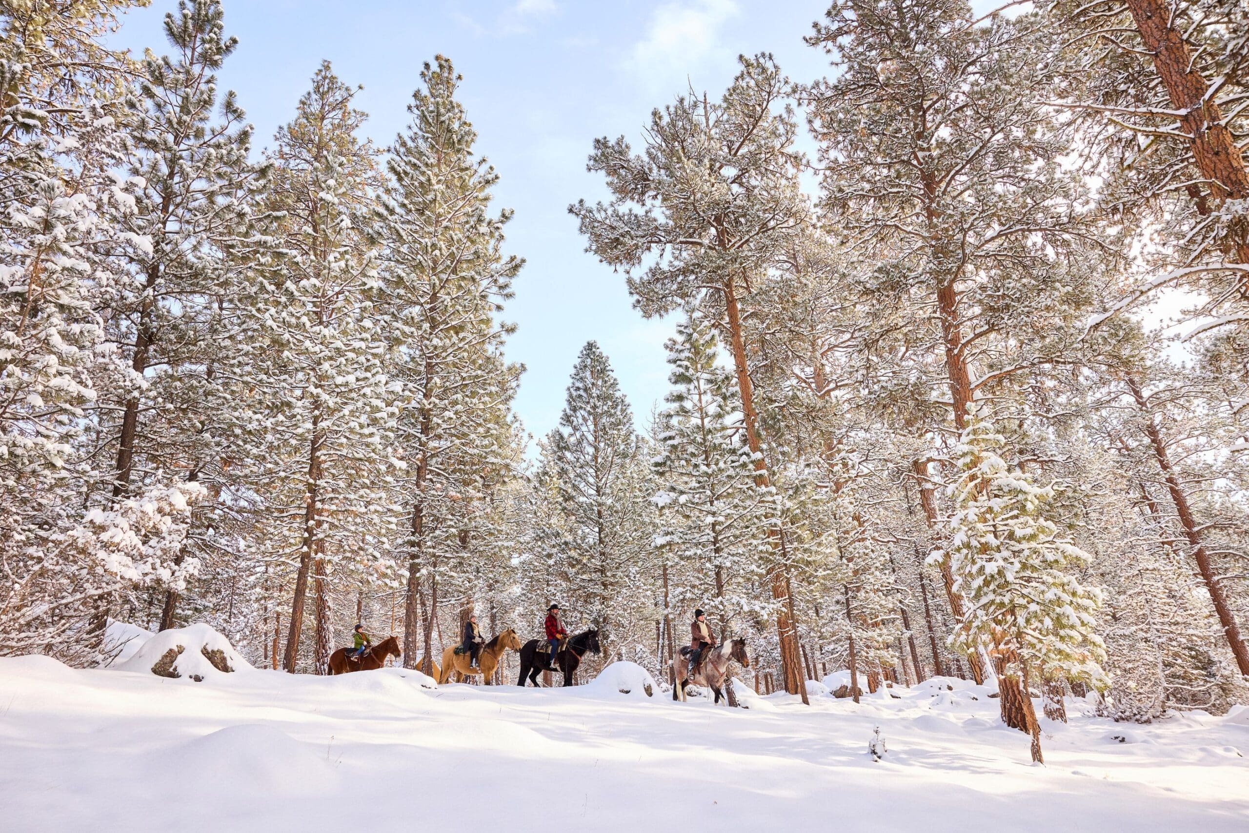 Group of people riding horses through a winter forest