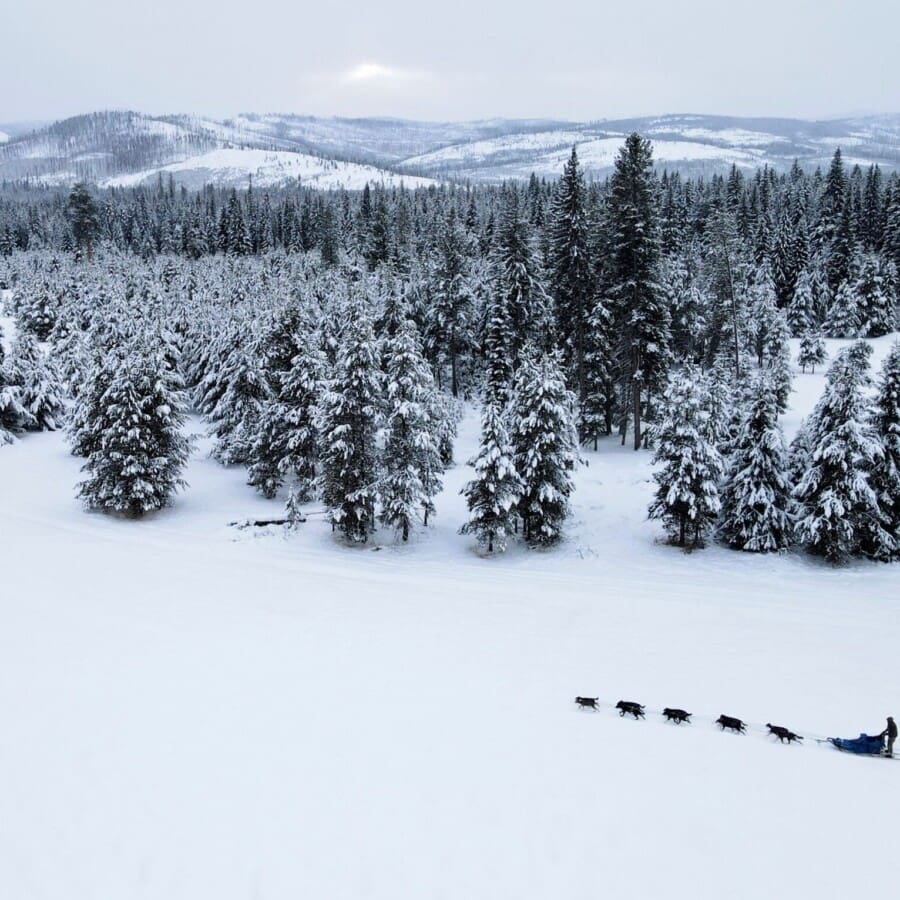 Dogsled traveling through a snow-covered field
