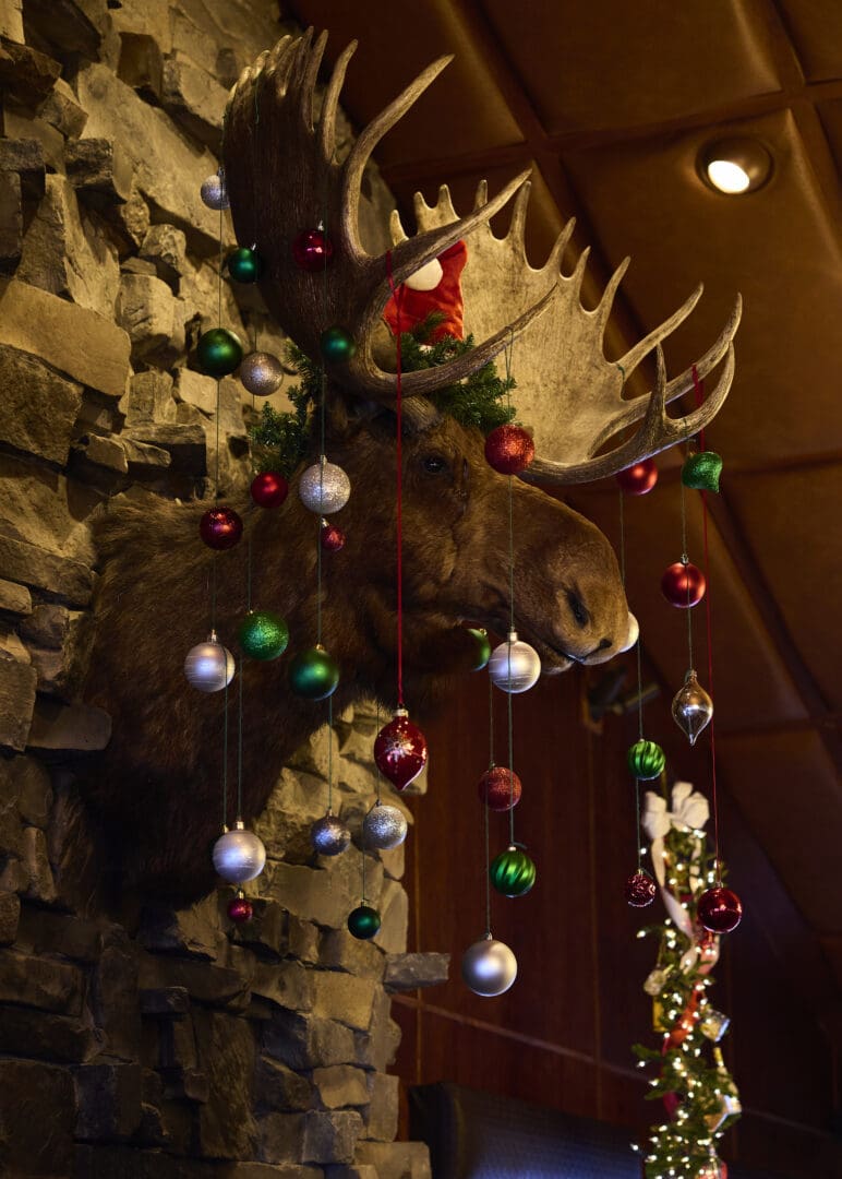 Photo of a moose head in a western lodge, decorated with Christmas ornaments.
