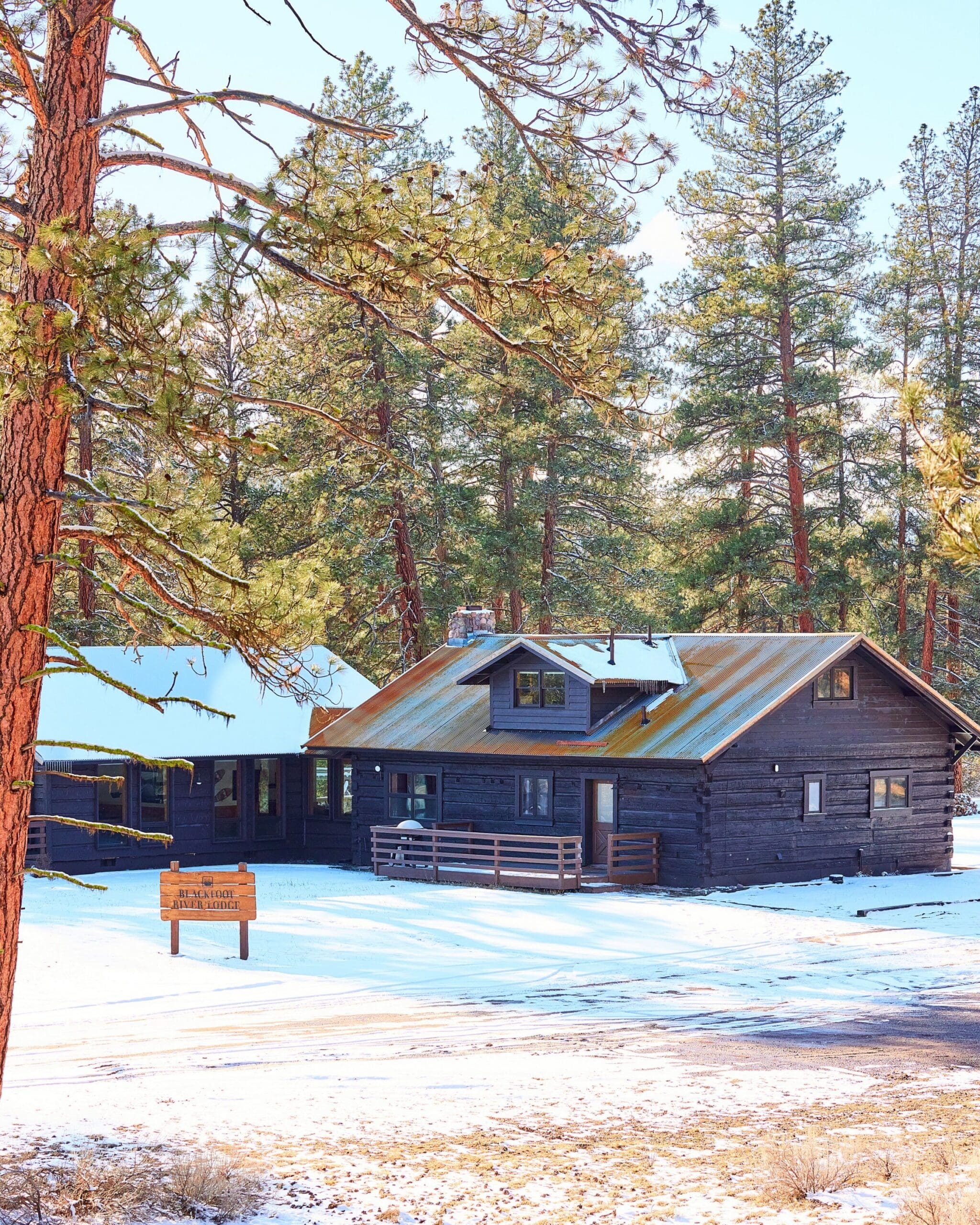 Wooden home surrounded by snow and pines.