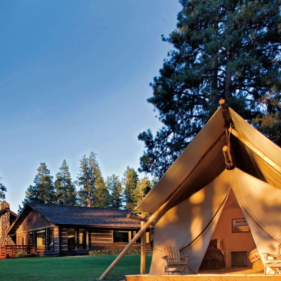 Exterior of a wooden lodge and canvas glamping tent