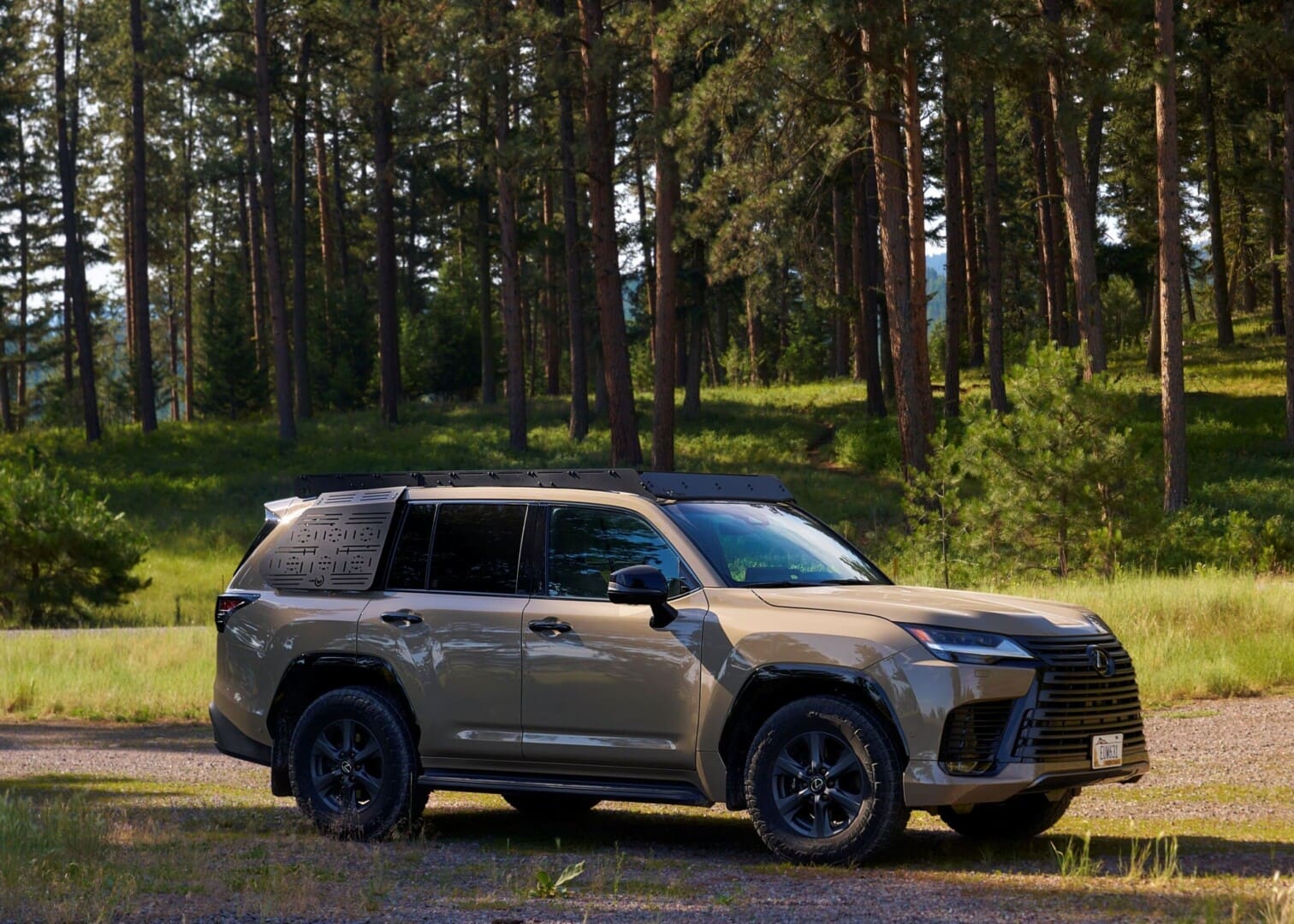 Lexus SUV in the forest