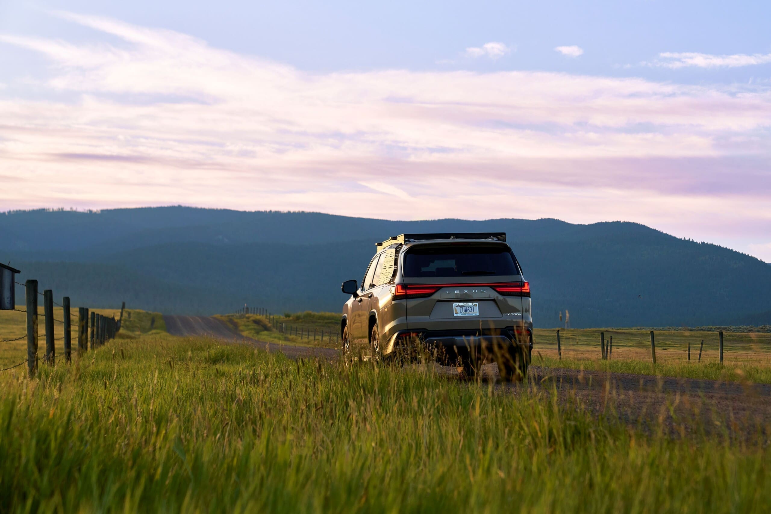 Lexus SUV in a pasture