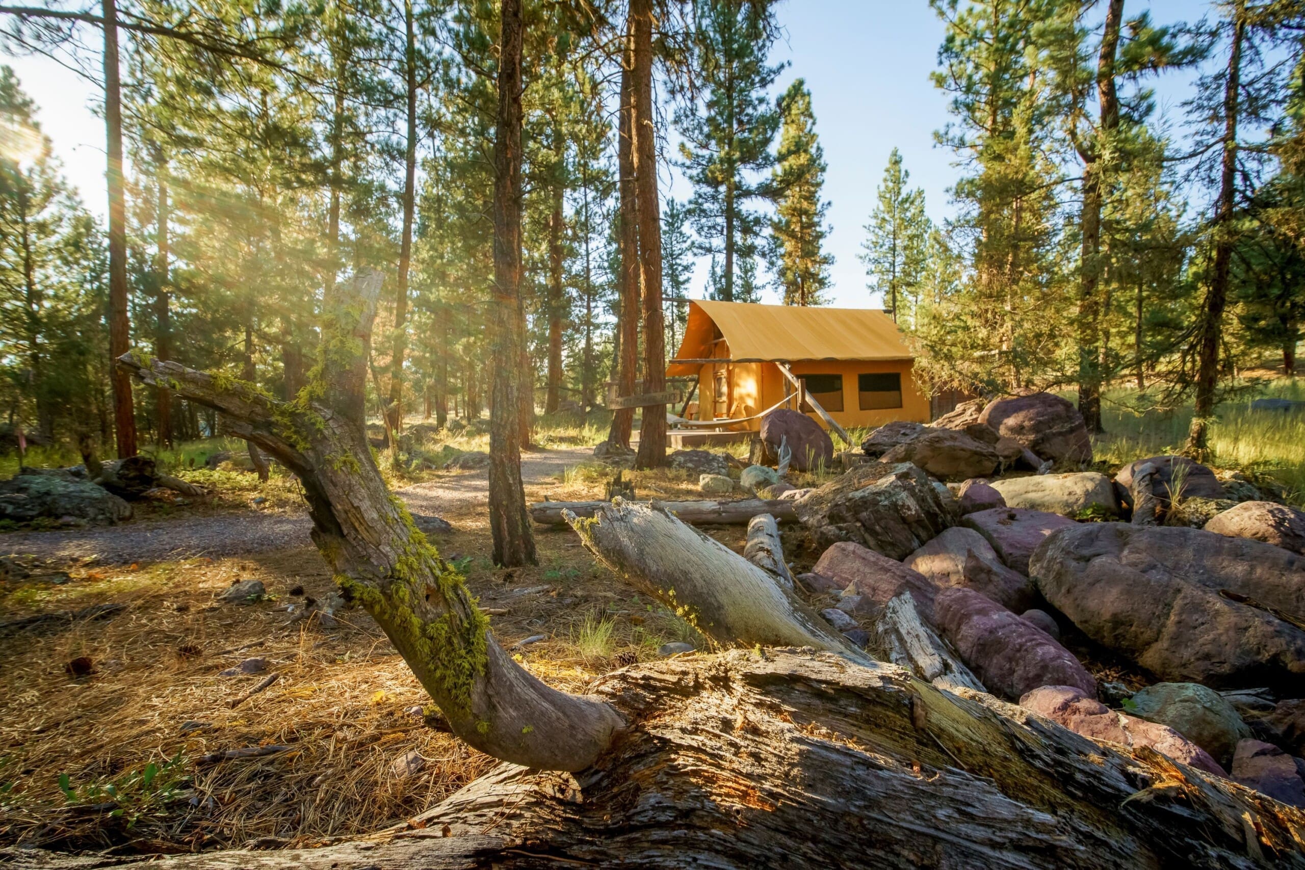 Outside of a canvas glamping tent in the woods