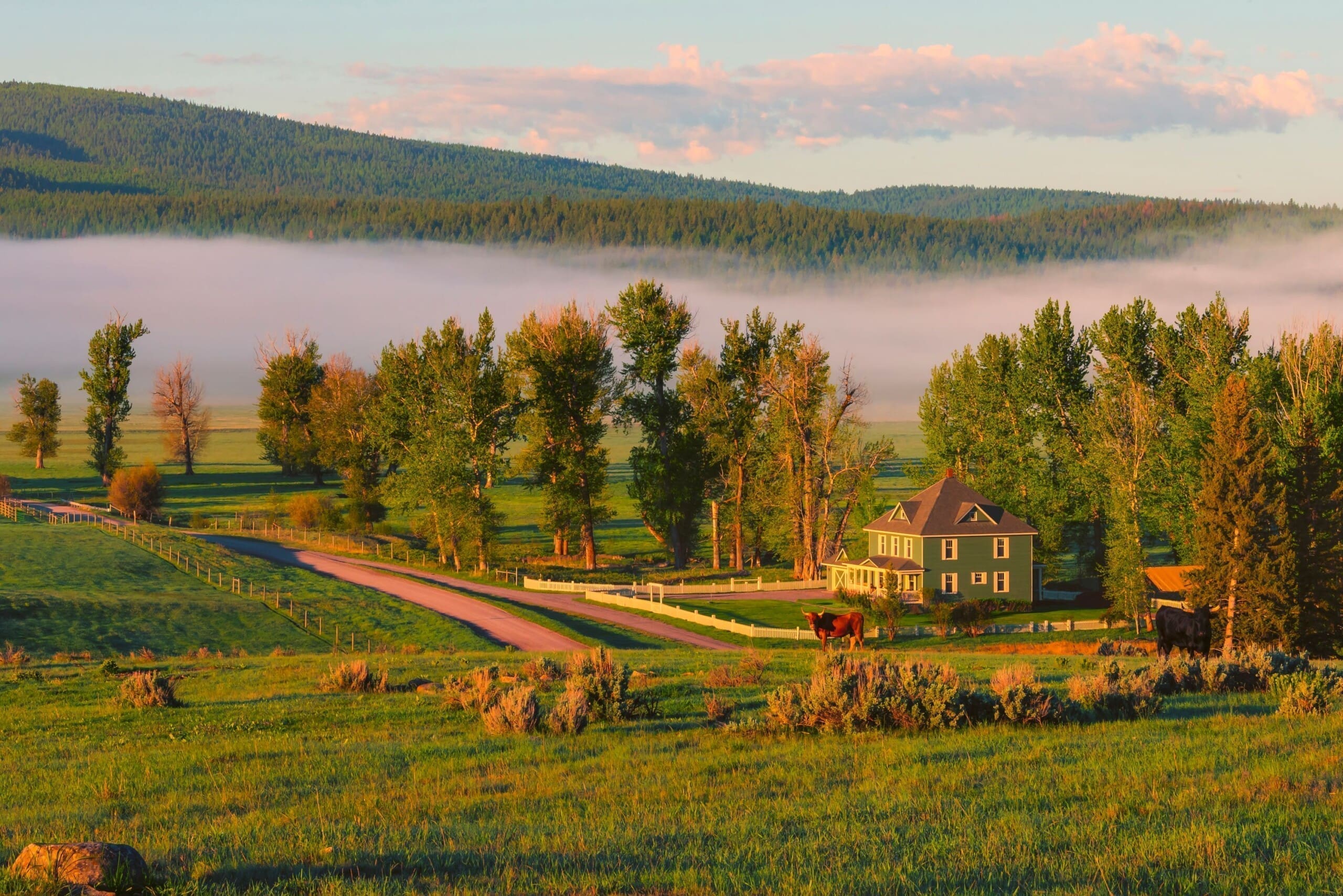 Exterior of a sage green farmhouse on a ranch
