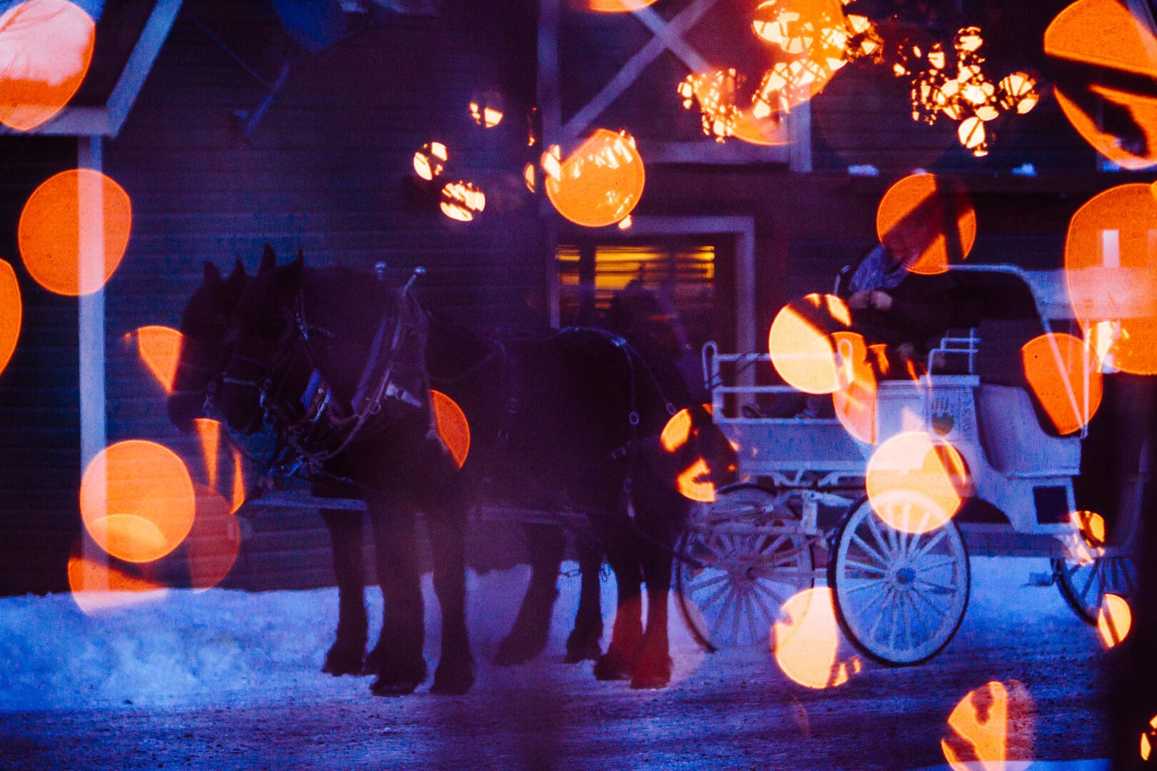 Horse drawn carriage at night with sparkling lights.