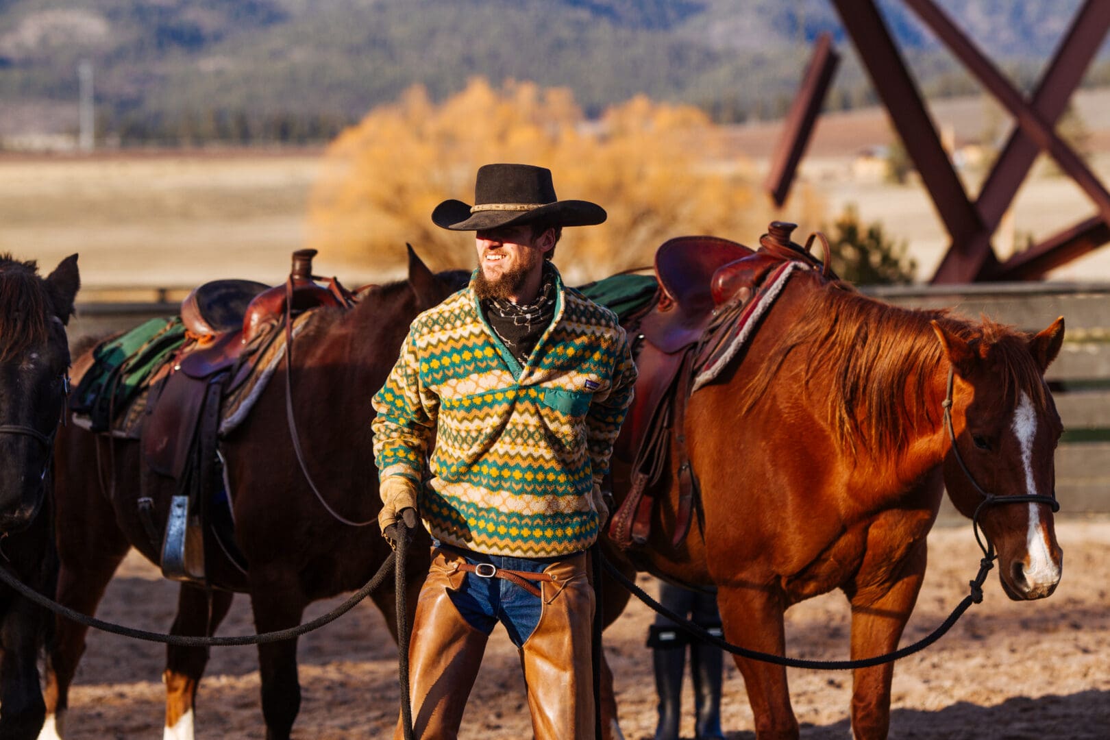 Rancher working outside leading horses in a fenced area.