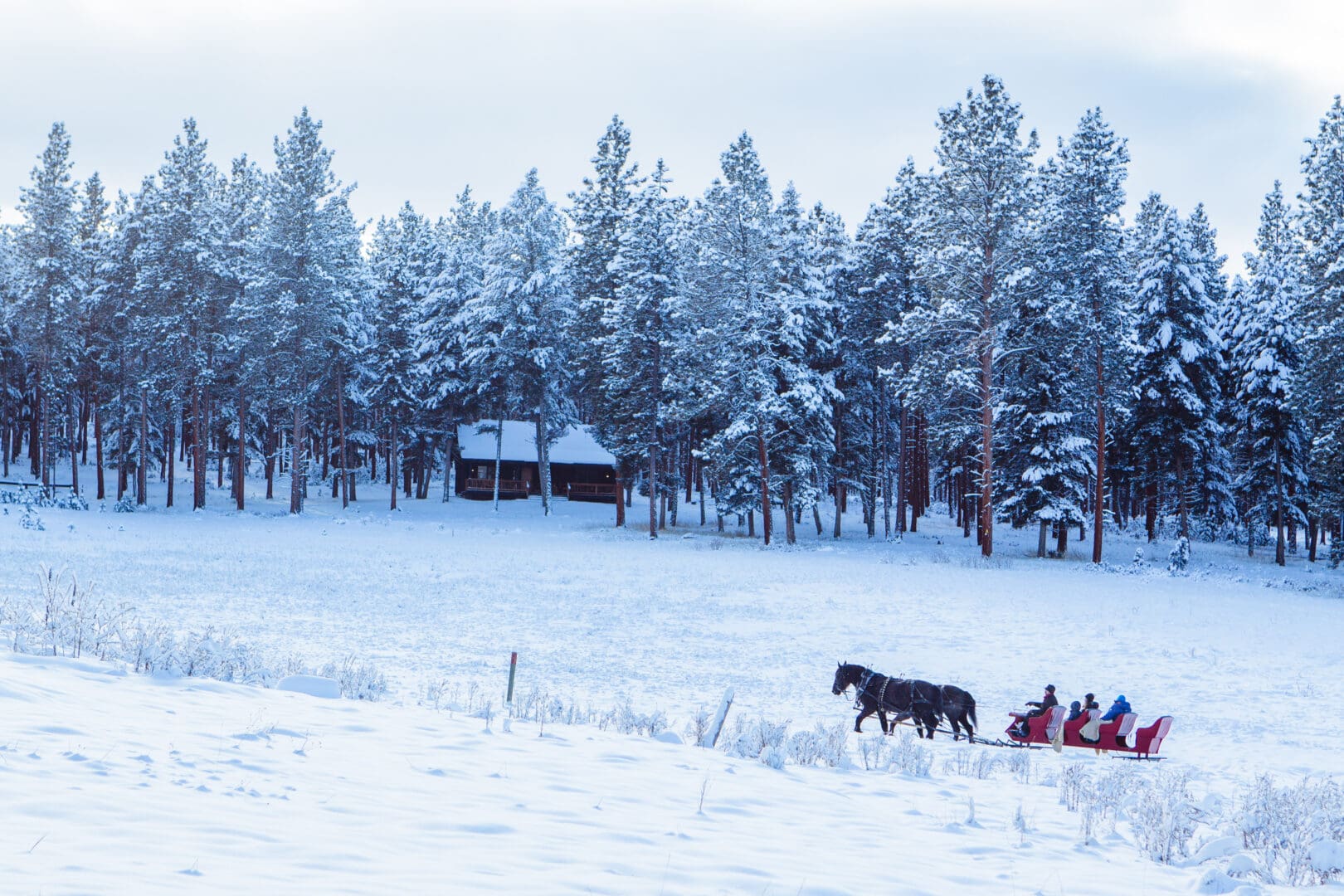 Family on a sleigh ride in the distance on a winter day.