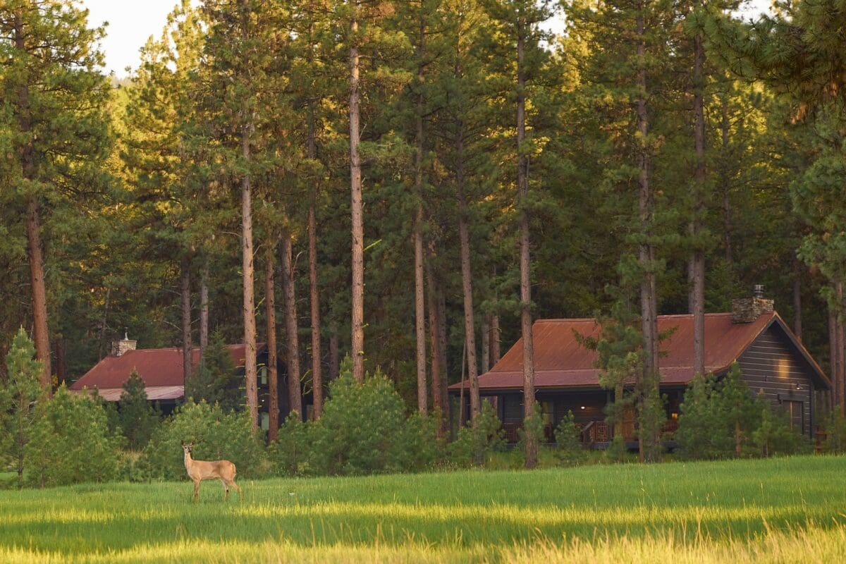 Photo of Big Timber Homes during the spring