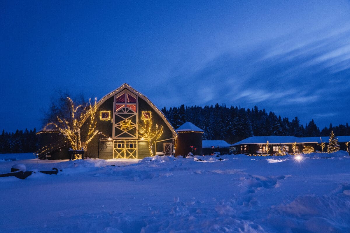 Decorated barn in the winter with lights at night.