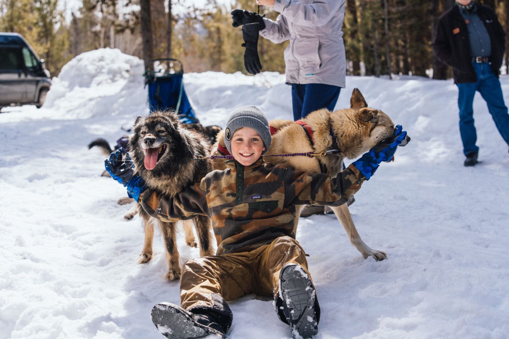 Boy sitting in-between two sled dogs in the winter.