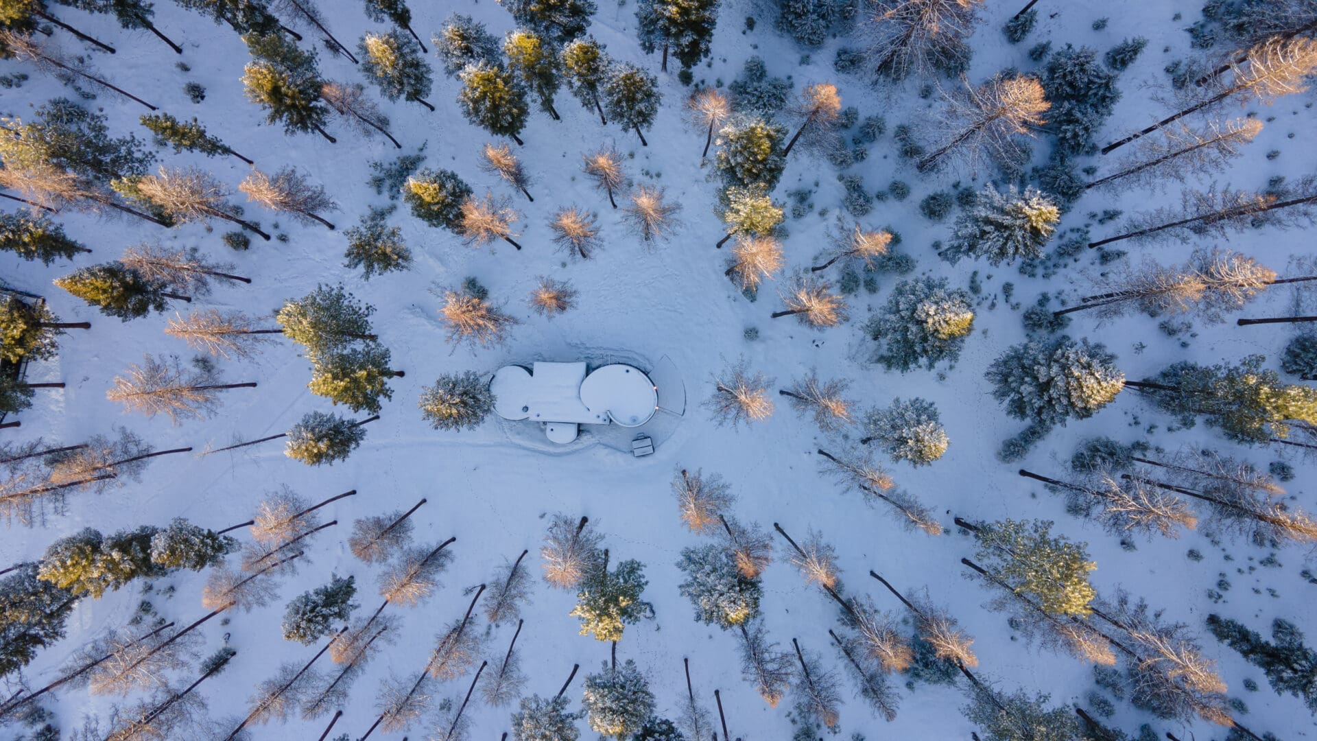 Drone shot of Paws Up Haus in the winter.