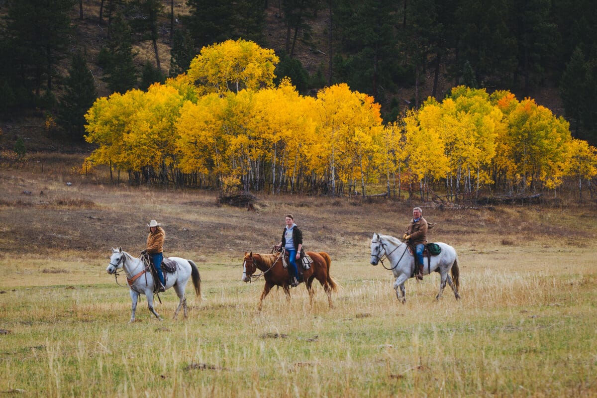 Three horseback riders riding on a field with yellow fall trees in the background.
