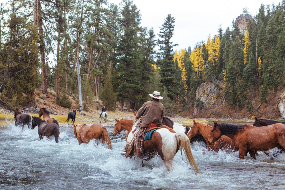 Horseback riding through a river with a pack of horses.