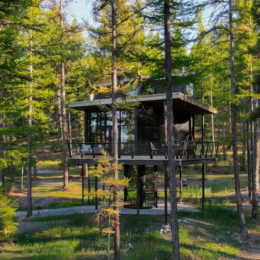 Tree house home surrounded by trees.
